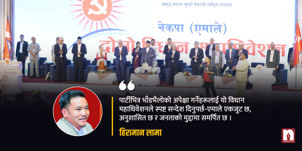 एमालेमा भाँडभैलो पर्खिनेहरू हेरेको हेर्‍यै