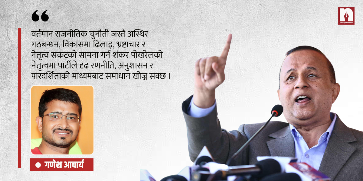 शंकर पोखरेल नेतृत्वमा एमालेको पुस्तान्तर- मदनको लिगेसी, ओलीको उत्तराधिकार