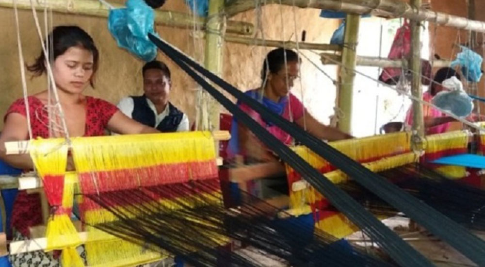 झापामा तीन महिनामा ३१७ घरेलु तथा साना उद्योग थपिए, ५४ लाख बढी राजश्व सङ्कलन