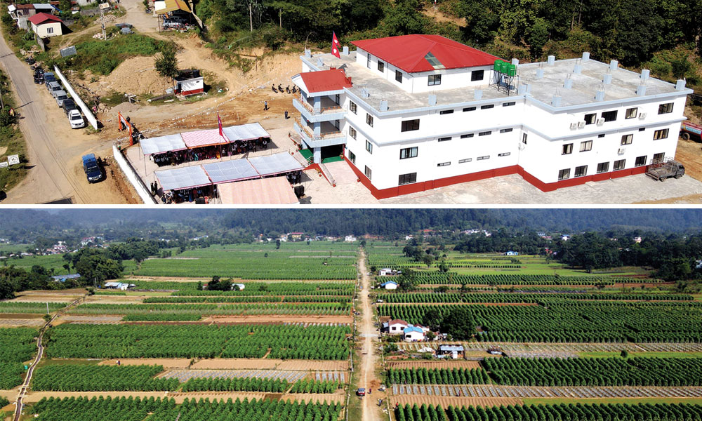 रिक्साको भाडा नदिएको निहुँमा रक्सीले मातेका छोराले गरे बाबुको हत्या, आमा पनि घाइते