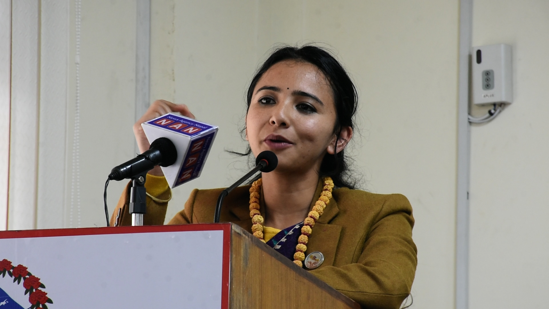 स्व. उज्ज्वल थापालाई सम्झिँदै तोसिमाले भनिन्- वैकल्पिक राजनीतिका पिता