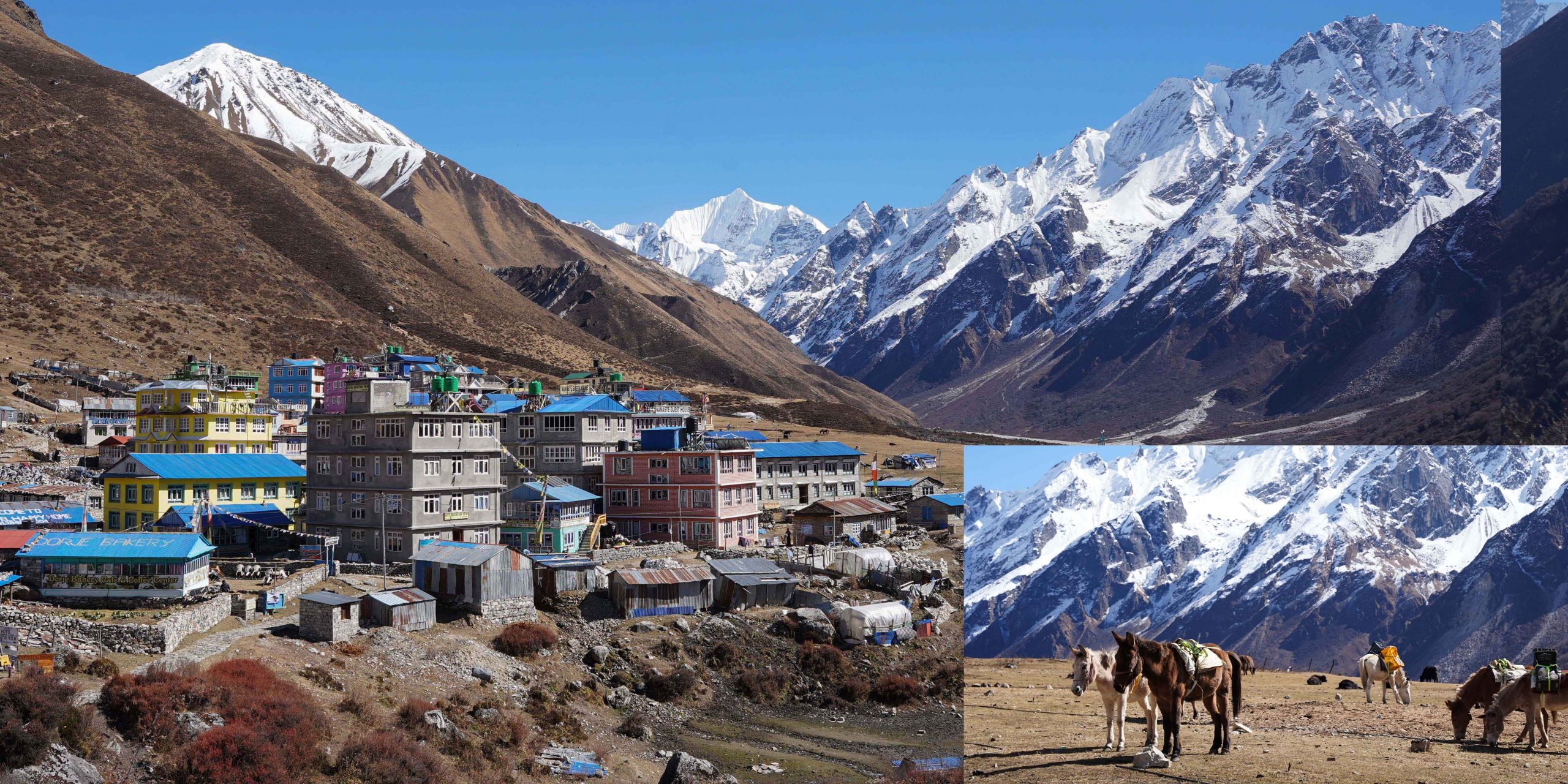 आहा ! लाङटाङ (तस्बिरहरू)