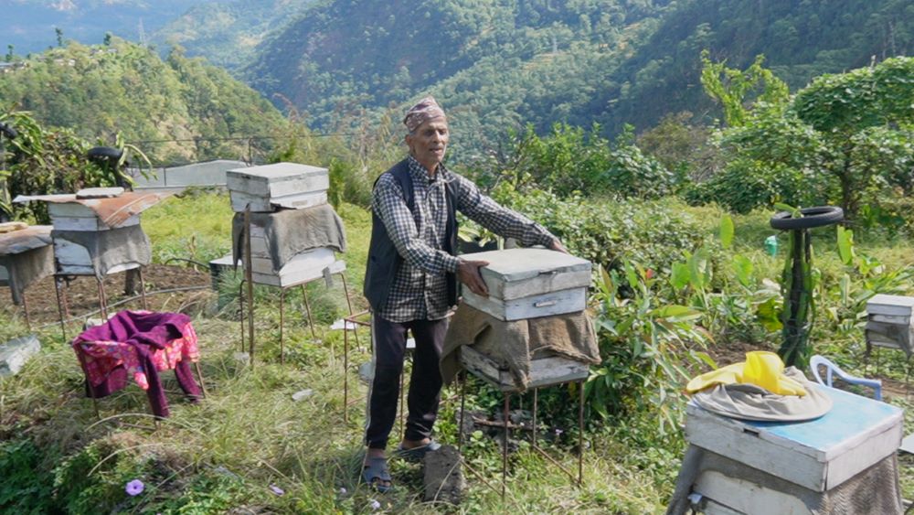 मौरीपालनबाट वार्षिक १५ लाख आम्दानी गर्दै पर्वतका टीकाराम