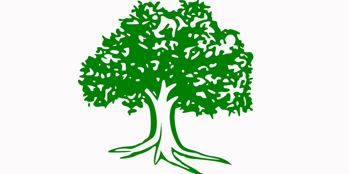 जेन्जी आन्दोलनमा तोडफोड र आगजनी गर्ने कांग्रेस कार्यकर्ताको क्रियाशील सदस्यता नवीकरण नहुने