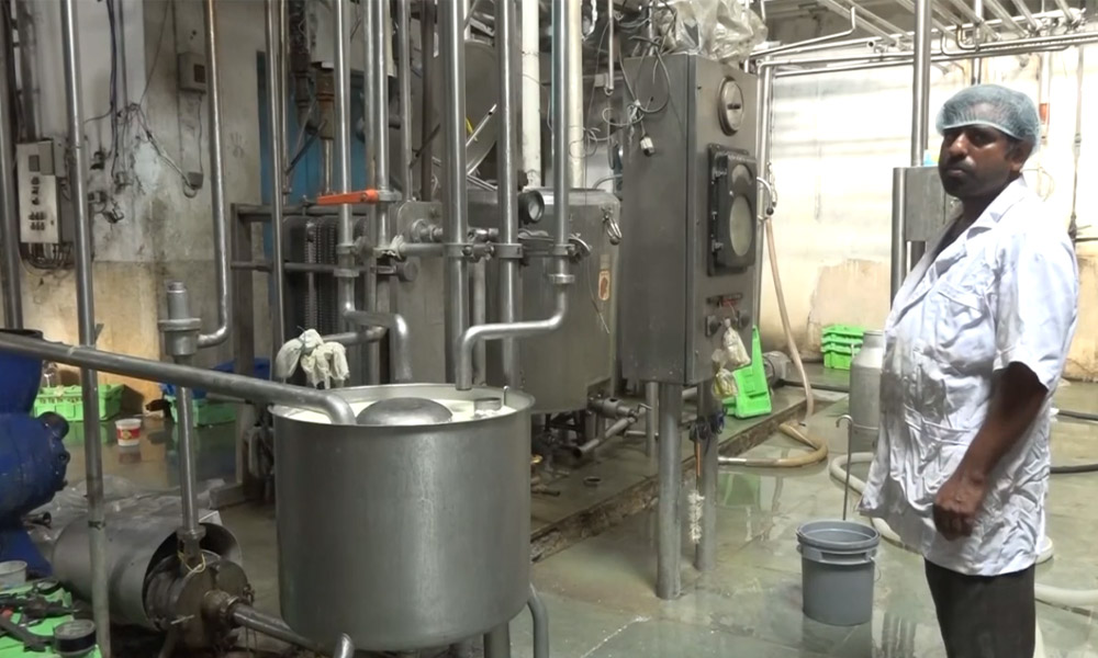 संकलन गरिएभन्दा कम खपत हुन थालेपछि विराटनगरमा पुन: पाउडर दूध उत्पादन